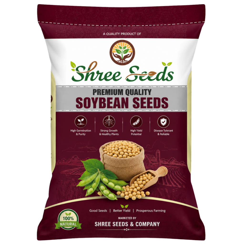 Soybean Seeds