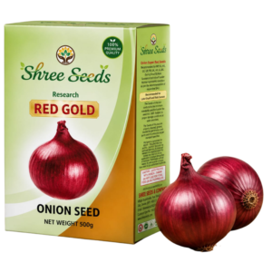 Onion Seeds